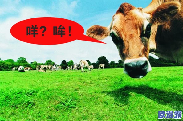 男人与禽ZoZ0性伦农场，这种现象令人震惊，社会应该加强对这种行为的监管