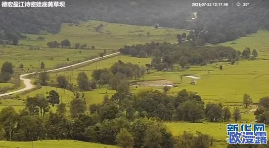 日本黄色高清网站，内容丰富多样，画质清晰，是我最喜欢的观看平台之一