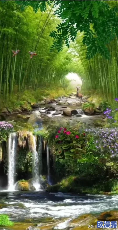 浓密的森林小溪在流淌水,听着水声仿佛能感受到大自然的宁静与美好 浓密的森林小溪在流淌水,听着水声仿佛能感受到大自然的宁静与美好