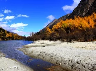 探索亚洲专区一：多元文化交融下的独特风景与人文魅力之旅