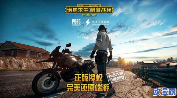 绝地求生刺激战场：巧获资源策略揭秘与中后期高效作战心得全面分享