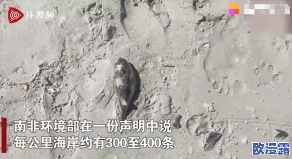 炉石传说：剧毒科学家流派前瞻，毒猪配合无解？探寻万能解毒策略