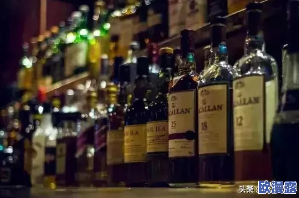 深度解析:黑暗与荣耀中的美酒聚会系统具体玩法及策略详解指南 深度解析:黑暗与荣耀中的美酒聚会系统具体玩法及策略详解指南
