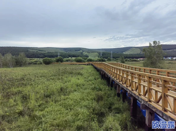 边境之旅联机攻略：详解如何与朋友共同踏上旅程的方法与步骤